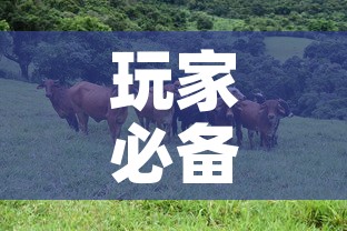 玩家必备教程“微信牛牛群斗牛群	”链接房卡在哪里获取