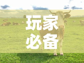 玩家必备教程“微信牛牛群斗牛群”链接房卡在哪里获取