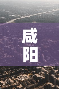 咸阳疫情新增高风险地区:咸阳疫情分布图 咸阳疫情新增高风险地区:咸阳疫情分布图