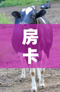 房卡必备教程“微信牛牛群斗牛群”房卡获取方式