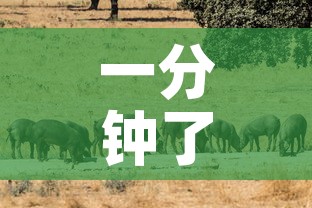 一分钟了解“斗牛房卡牛牛房卡”详细房卡教程