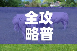 全攻略普及“开牛牛群怎么买房卡”房卡链接获取