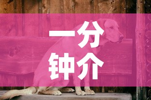 一分钟介绍使用“微信斗牛房卡找谁买”房卡使用教程