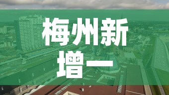 梅州新增一区二区疫情 → 梅州新增一例新型肺炎