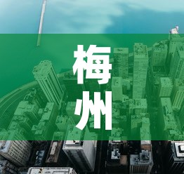梅州新增一区二区疫情 → 梅州新增一例新型肺炎
