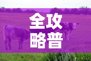 给大家讲解“牛牛房咔哪里买	”轻松获取房卡全渠道