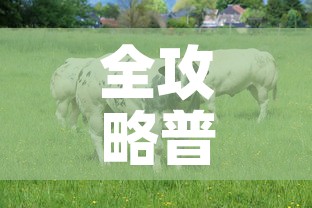 一分钟介绍使用“牛牛房卡怎么搞	”房卡使用教程
