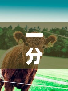 一分钟实测分享“微信牛牛群斗牛群	”链接房卡在哪里获取