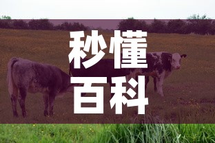 秒懂百科“微信牛牛群房卡怎么弄”房卡使用教程