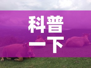 科普一下“微信怎么建房玩斗牛牛啊”详细房卡教程