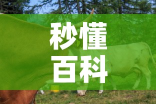 秒懂百科“微信牛牛群房卡”房卡怎么购买