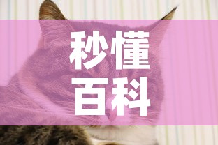 秒懂百科“斗牛房卡牛牛房卡”详细房卡怎么购买教程