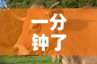 一分钟了解“微信斗牛房卡如何购买”购买房卡介绍