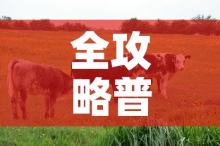 全攻略普及“微信牛牛群房卡	”房卡详细充值