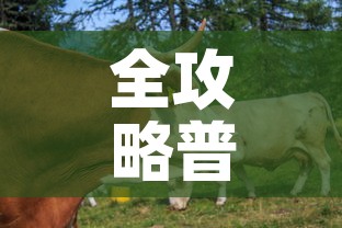 全攻略普及“微信牛牛群房卡”房卡详细充值