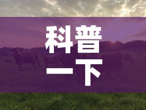 科普一下“微信牛牛群斗牛群	”房卡详细充值