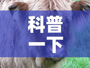 科普一下“微信牛牛群斗牛群”房卡详细充值